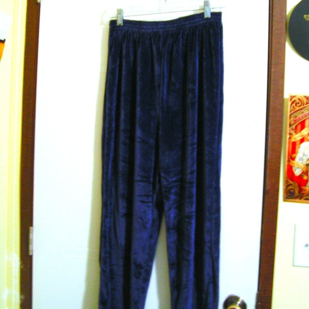 INDIGO BLUE LUSH VELVET PANTS M